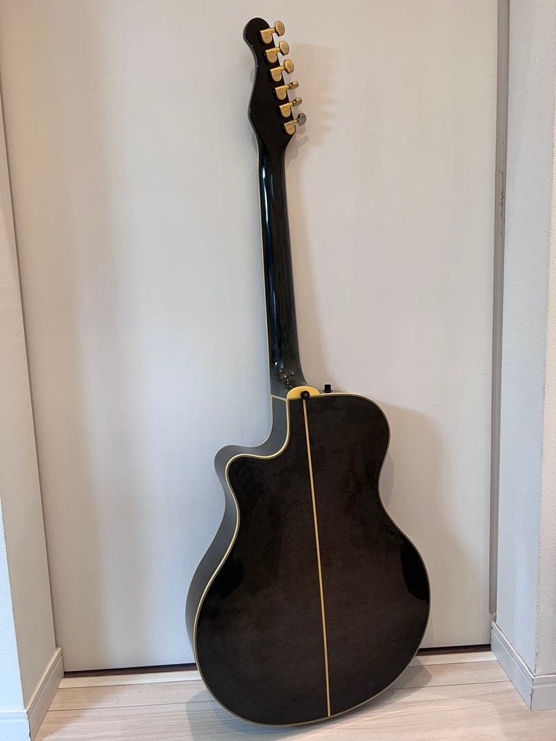 YAMAHA APX-10s BLB #002 日本製①