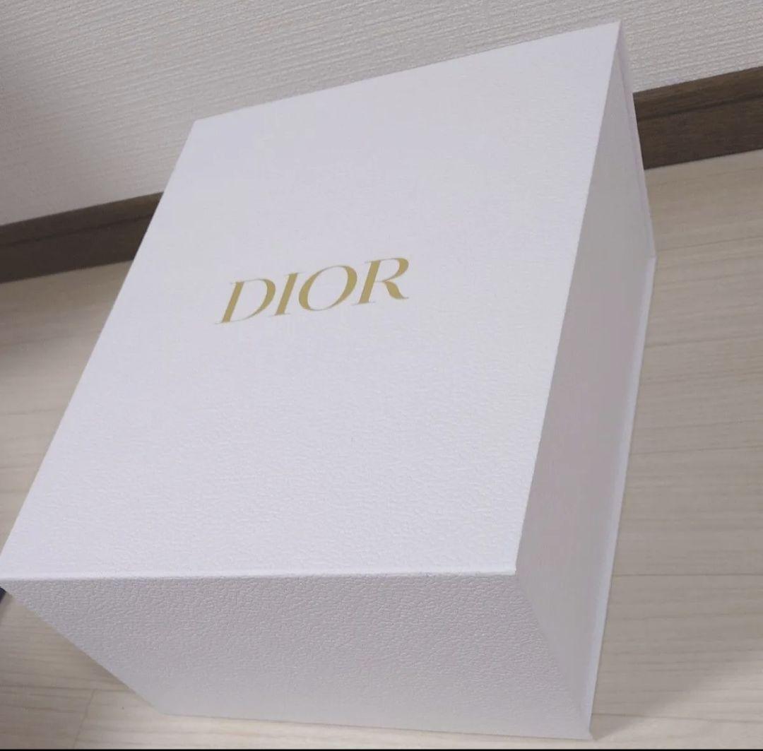 【美品】Dior ディオール　空箱　ショッパー　レディディオール