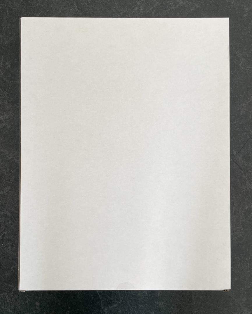 初音ミク feat. Yoneyama Mai 米山舞 描き下ろし複製原画