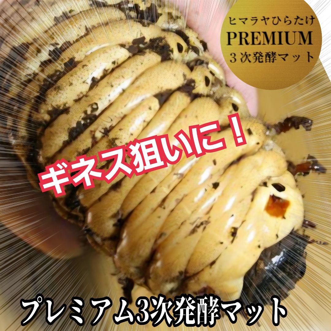 カブトムシ幼虫がビッグに！プレミアム3次発酵マット【90リットル】産卵にも抜群！