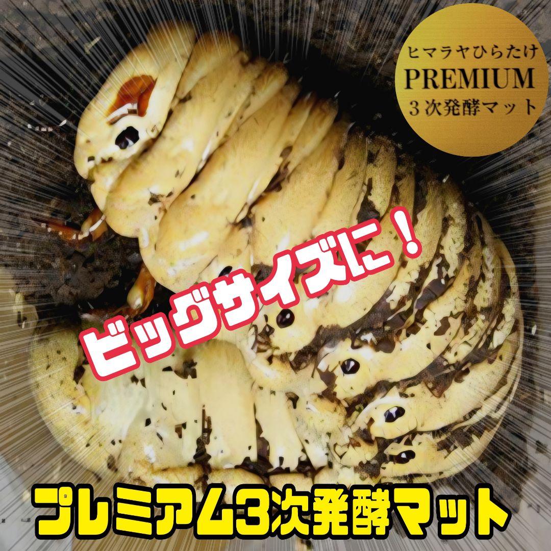カブトムシ幼虫がビッグに！プレミアム3次発酵マット【90リットル】産卵にも抜群！