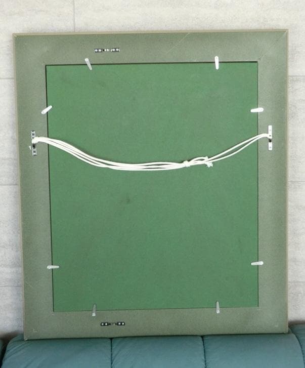 田中一村　額装　奄美の杜「草花に蝶」　模写