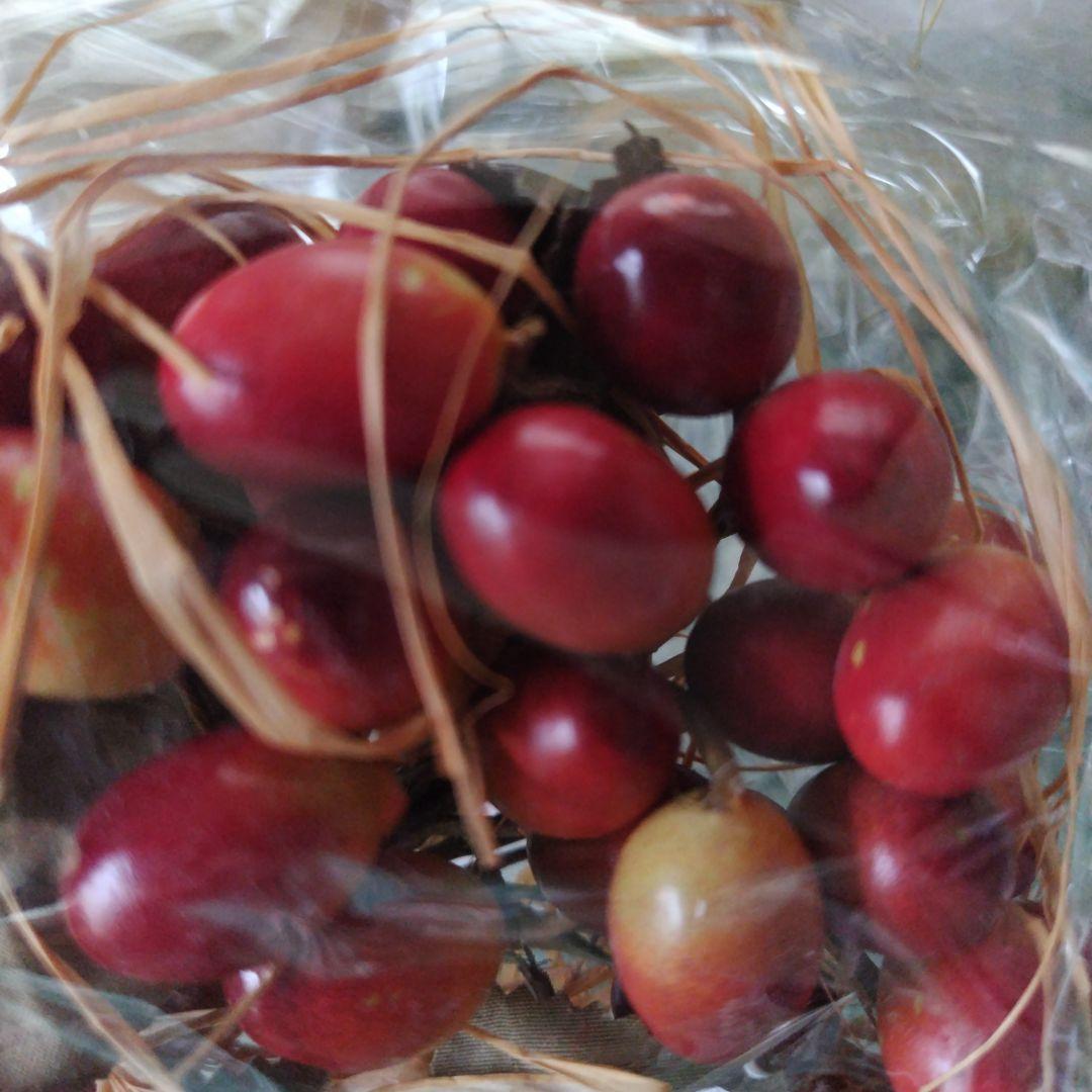 カネコイサオ等 コサージュ3点