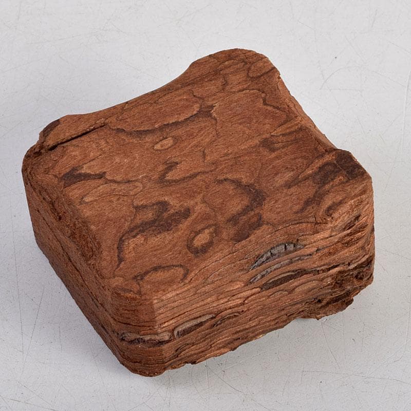 茶道具　松皮香合　表千家 十二代 宗左（惺斎）花押　共箱　V　8834