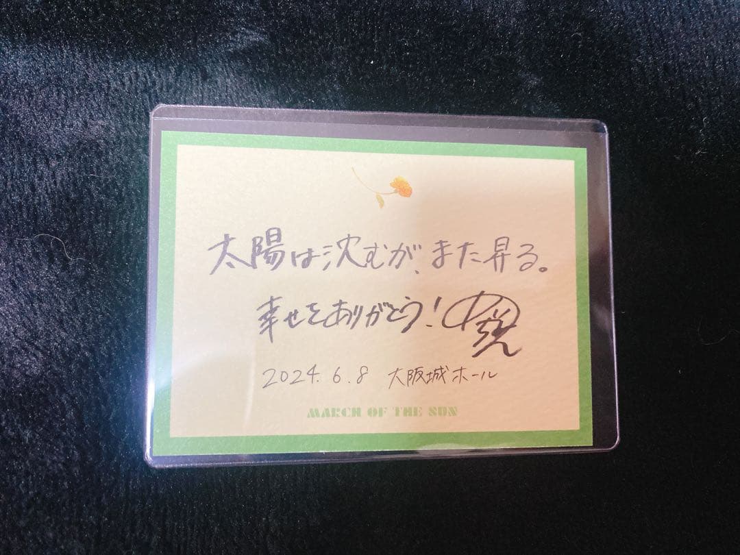 めいちゃん 太陽のマーチ 2days 傘、てるてるめいたま セット シクレあり