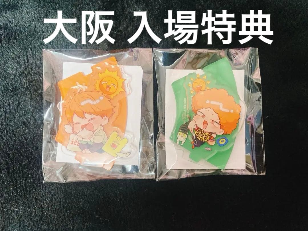 めいちゃん 太陽のマーチ 2days 傘、てるてるめいたま セット シクレあり