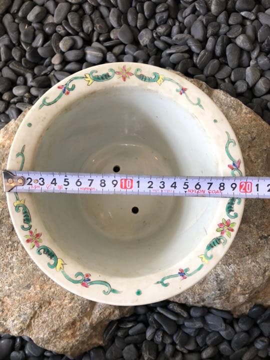 希少　南京絵鉢　南京鉢　岩松　イワヒバ　岩ヒバ　植木鉢　サボテン　アガベ