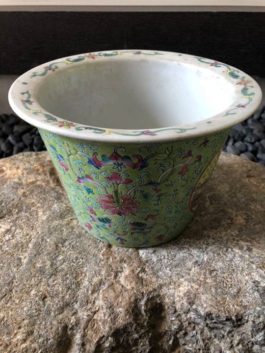 希少　南京絵鉢　南京鉢　岩松　イワヒバ　岩ヒバ　植木鉢　サボテン　アガベ