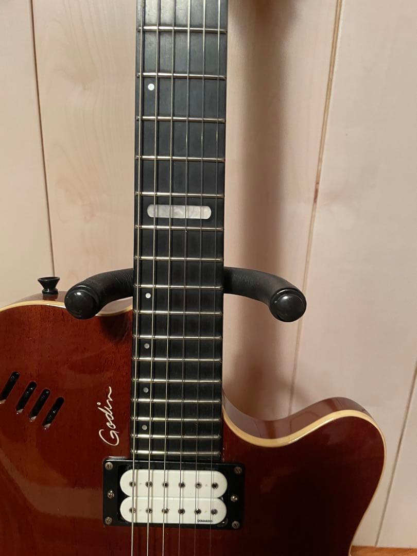 godin セミアコ　ゴダン　ギター　アコギ　dimarzio