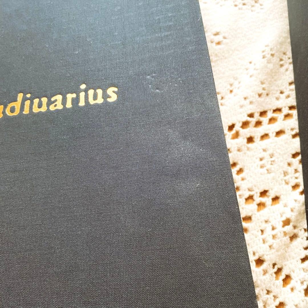 ストラディバリ 限定　写真集