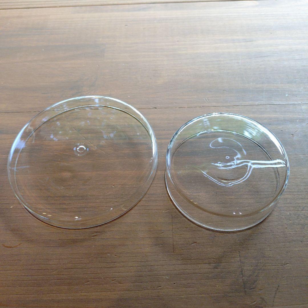 ☆ADA DOOA ガラスポット ☆ MARU95＆MARU130　セット