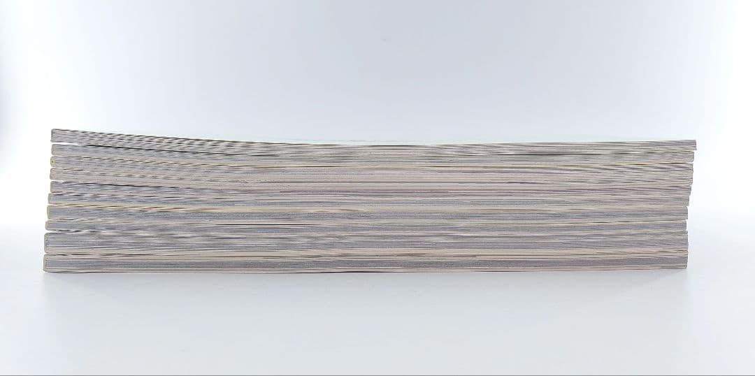 安全地帯 ファンクラブ会報誌 BIG JOKE Vol.1〜Vol.12