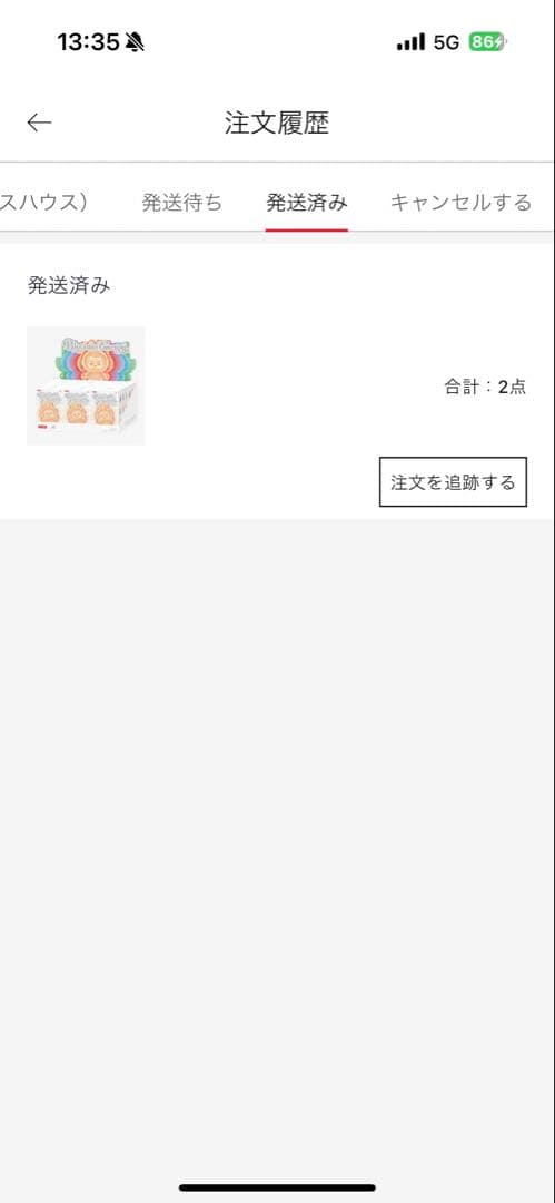 【未開封/正規品】　ラブブ Big into Energy アソートボックス