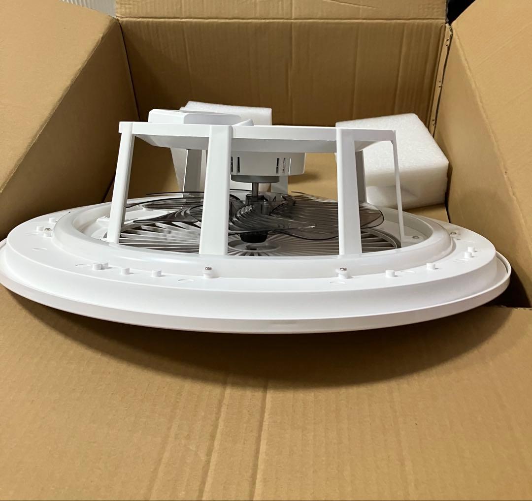 シーリングファンライト