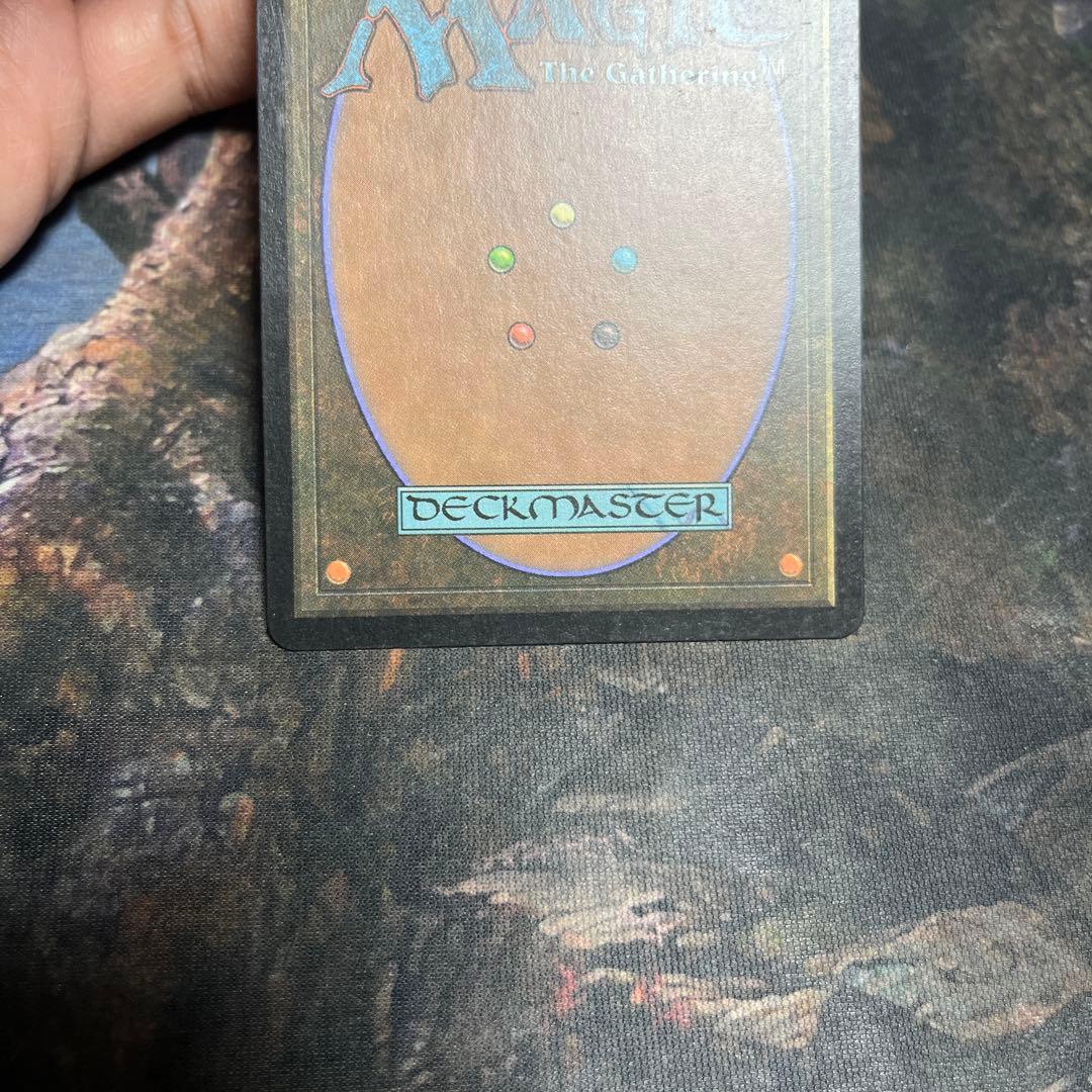 MTG グルランド　森　forest guru