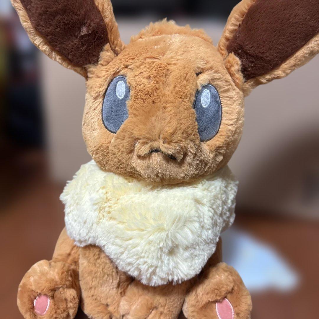 ポケモンセンター限定　ふわふわ抱きぬいぐるみ　ブイズ