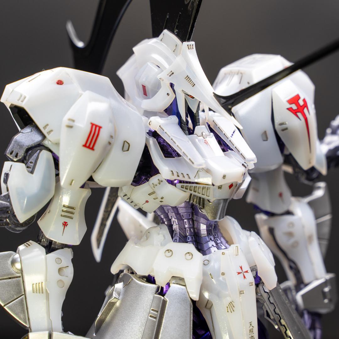 IMS 1/100 LEDミラージュV3 デルタベルン3007 完成品