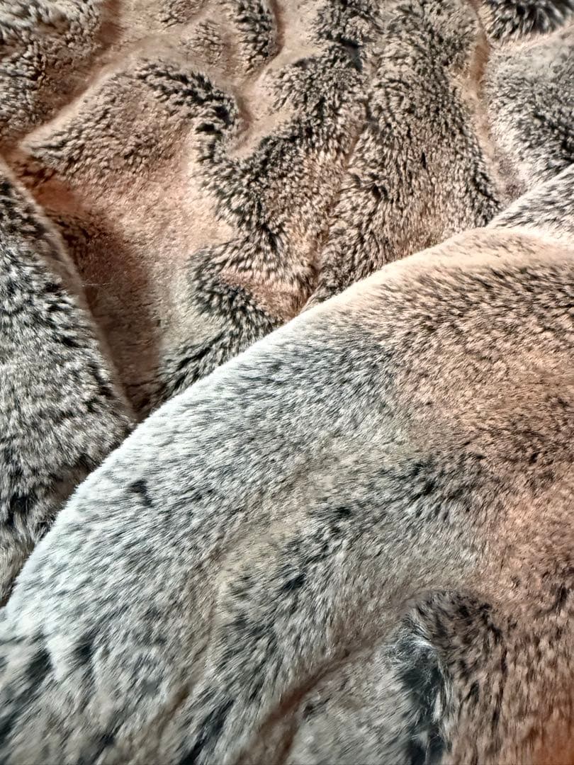 【最終値下げ】ZARA アウター