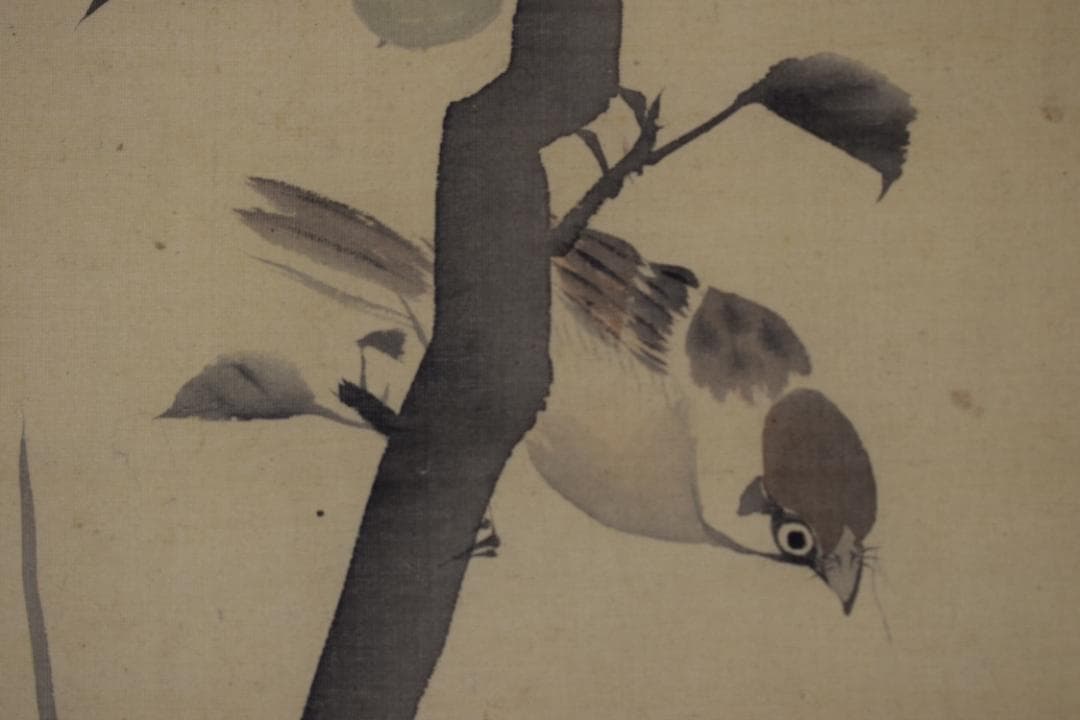 【真作】長谷川玉峰/青梅小禽図/青梅双雀図/掛軸☆宝船☆Y-736　JM