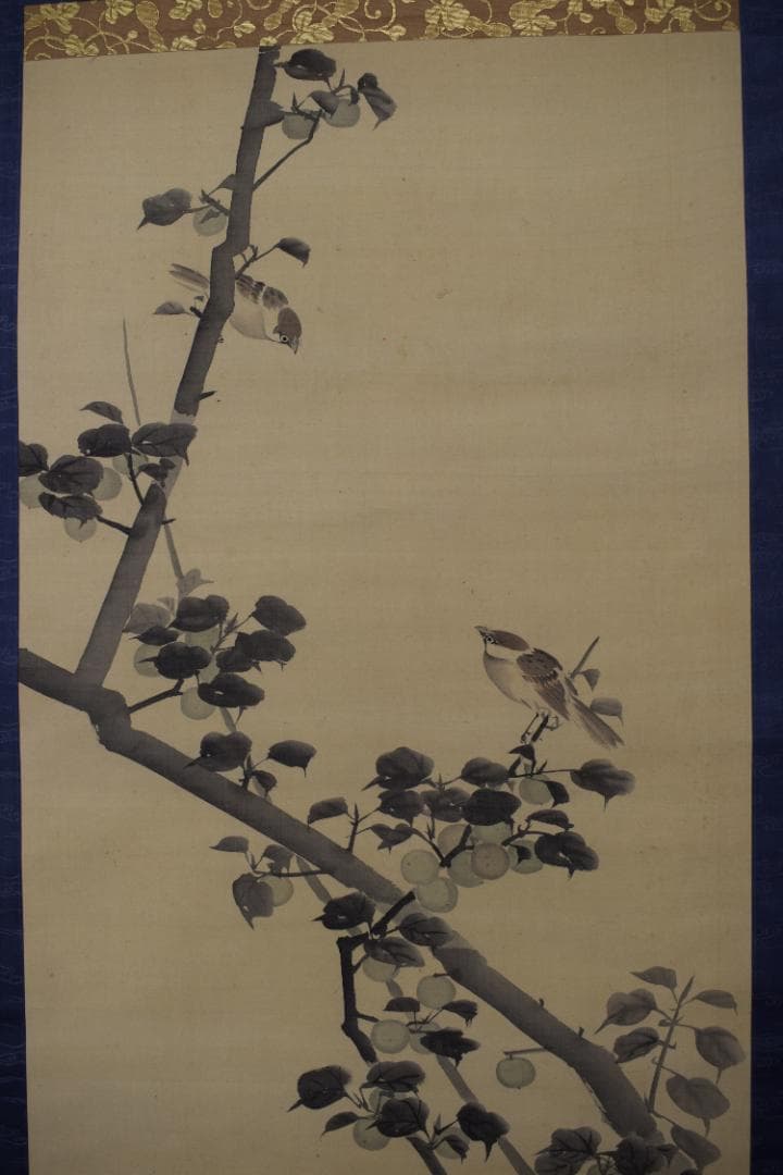 【真作】長谷川玉峰/青梅小禽図/青梅双雀図/掛軸☆宝船☆Y-736　JM