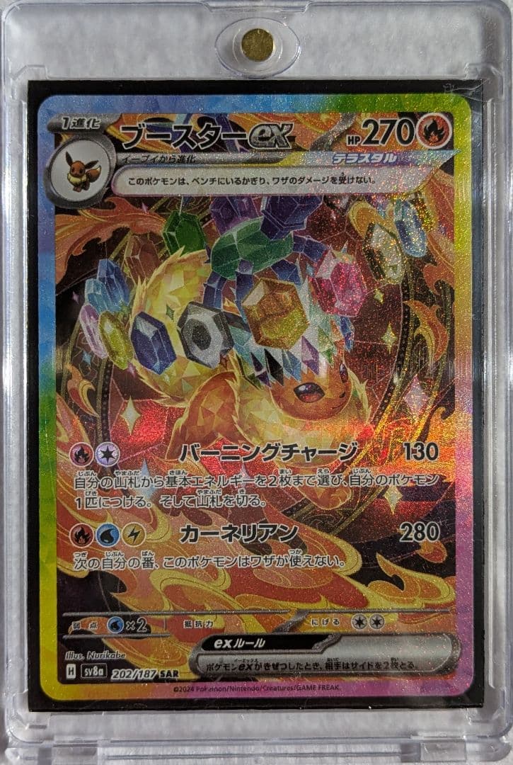 テラスタルフェス　ゴッドパック