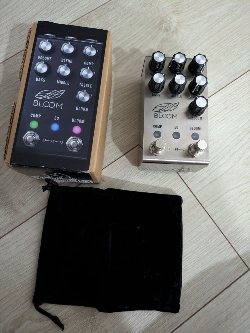 ギター JACKSON AUDIO BLOOM V2