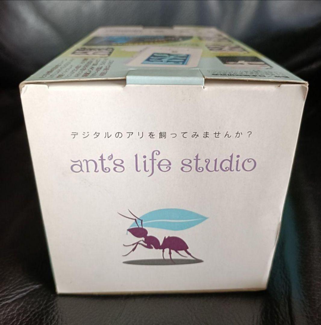 アンツ ライフ スタジオ ant's life studio