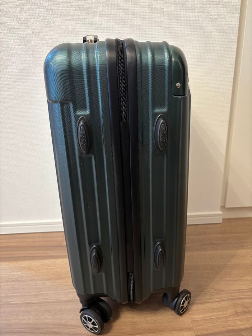 ダークグリーン 小型キャリーケース