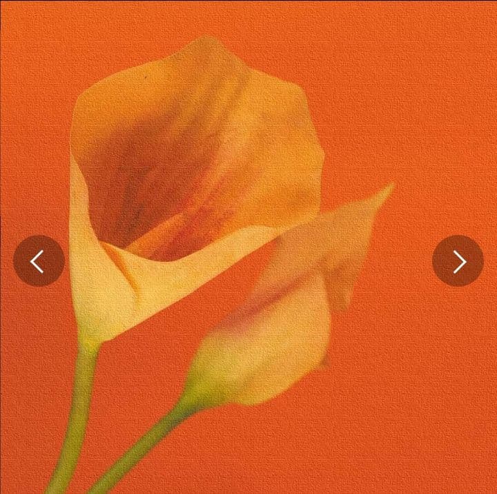 花のアートパネル インテリア雑貨 オレンジ poht-2205-01 つ178