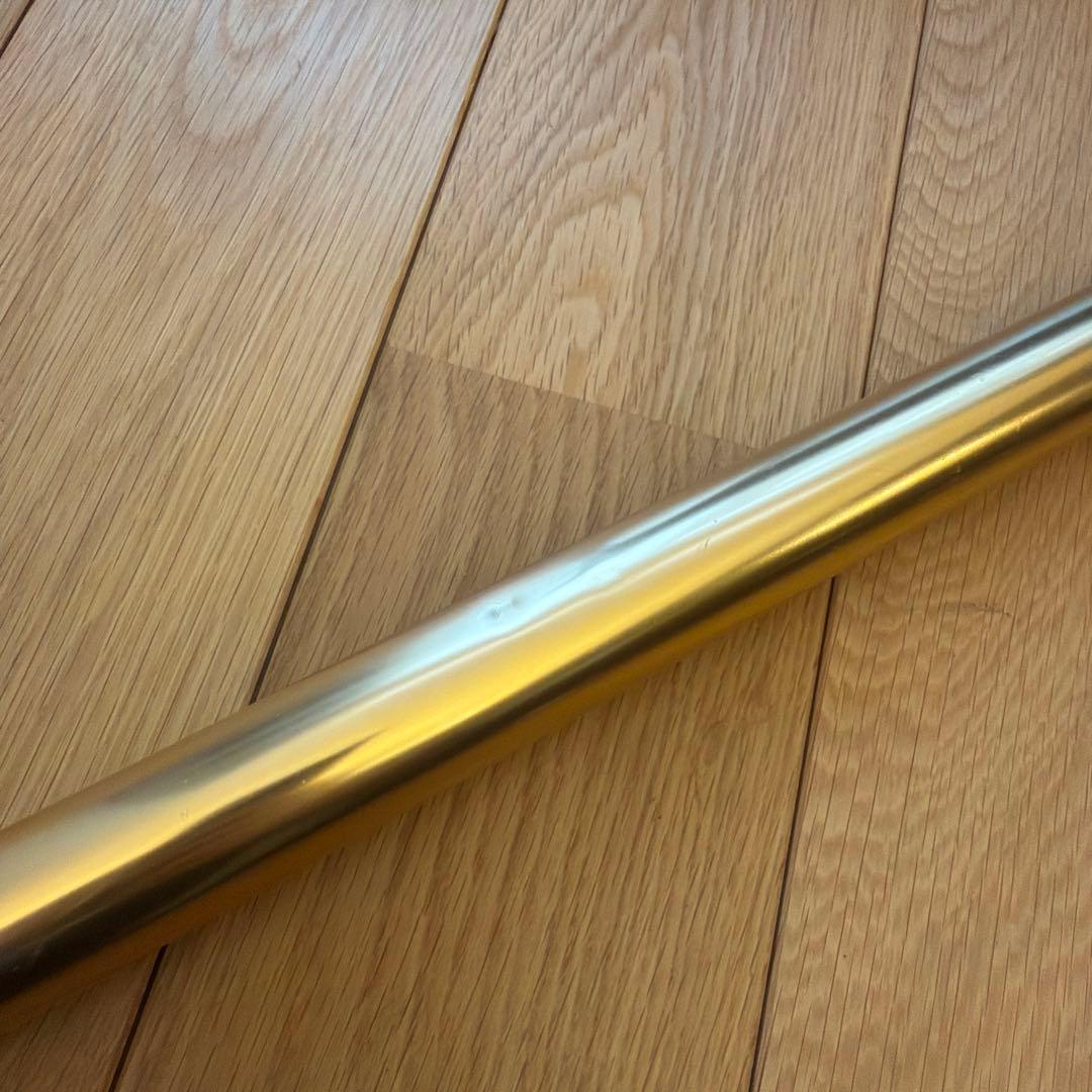 Dyson V12 Detect Slim Absolute ダイソン 掃除機