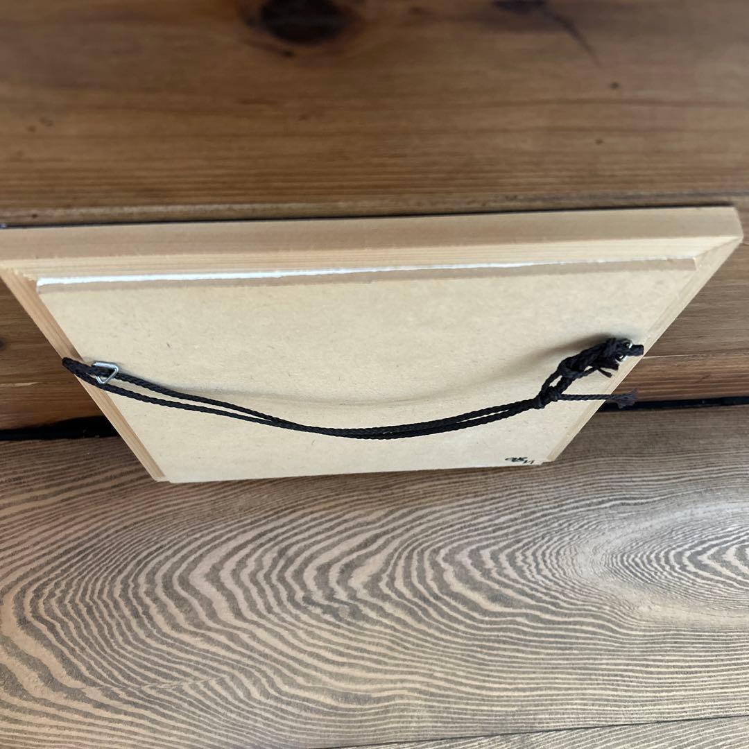 ono5s 原画　アウトドア　パキポディウムグラキリス　オノゴス