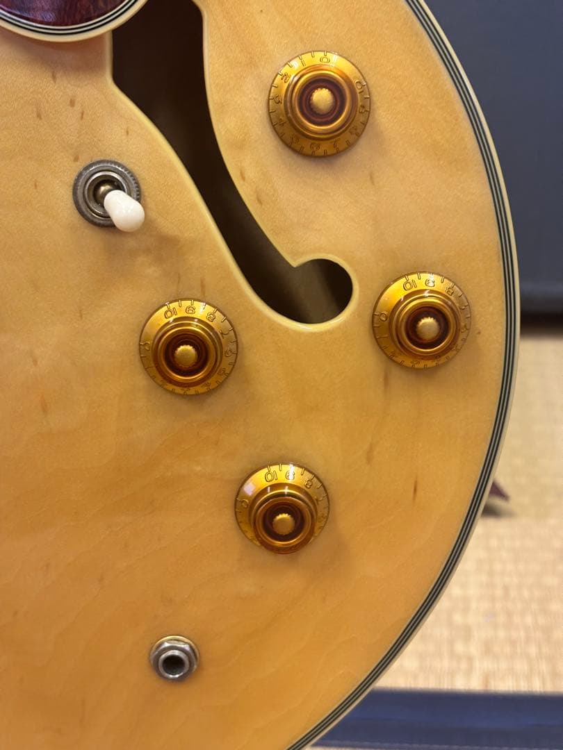 Epiphone シェラトン セミアコ セミハードケース付