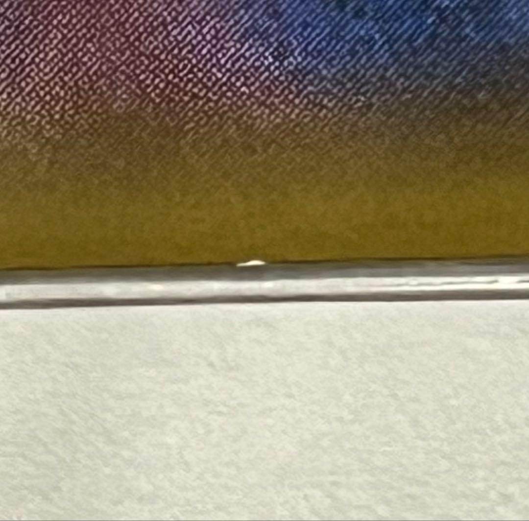 最終値下げ！ブラッキー☆ プロモカードパック 25th ANNIVERSARY