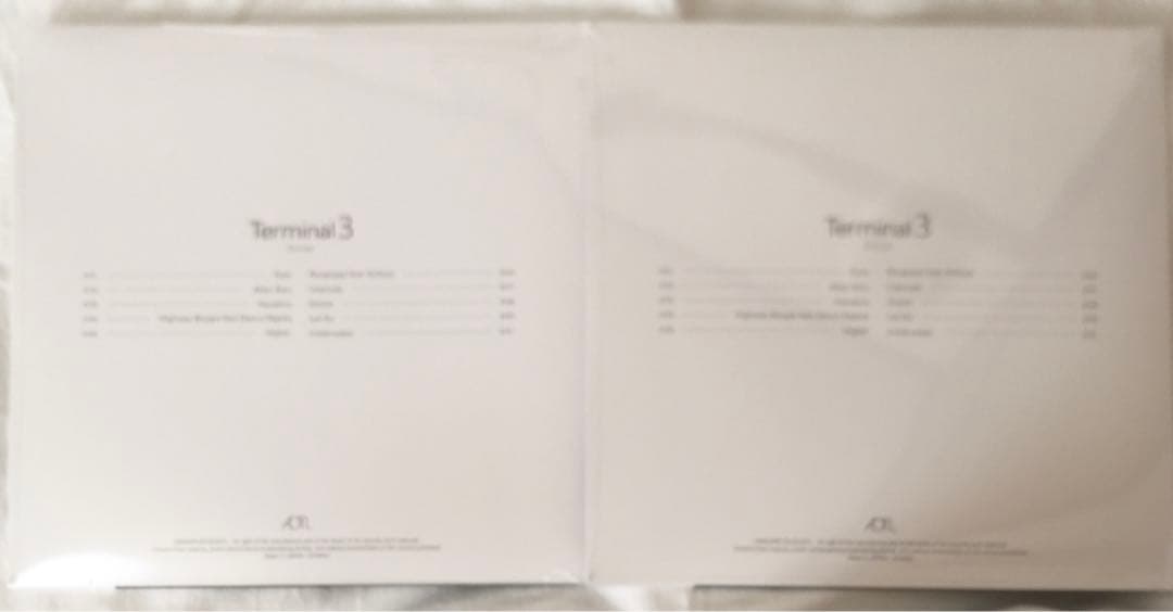 3House \"Terminal 3\" (Vinyl LP) 2枚セットレコード