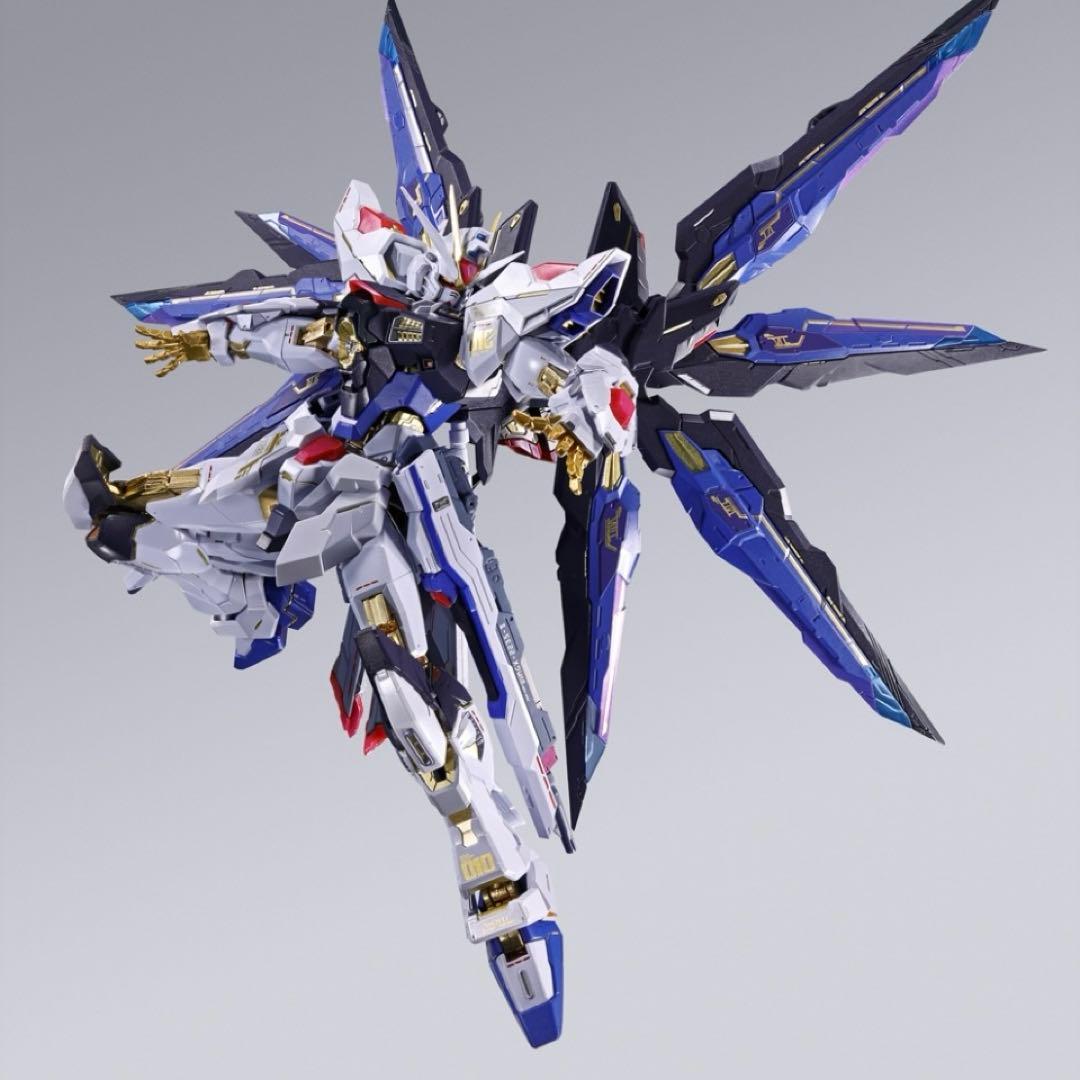 メタルビルドストライクフリーダム＆光の翼オプションセット