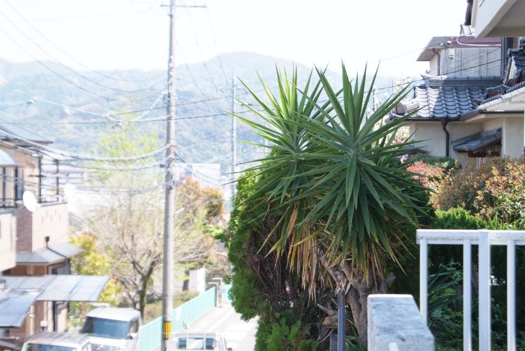 「実用極美品」ニコン用 Tamron 28-300mm AF XR LD IF