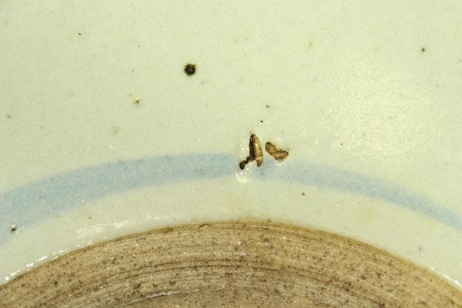 青花 碗 古染付 花弁文様 中国美術(メ1696)