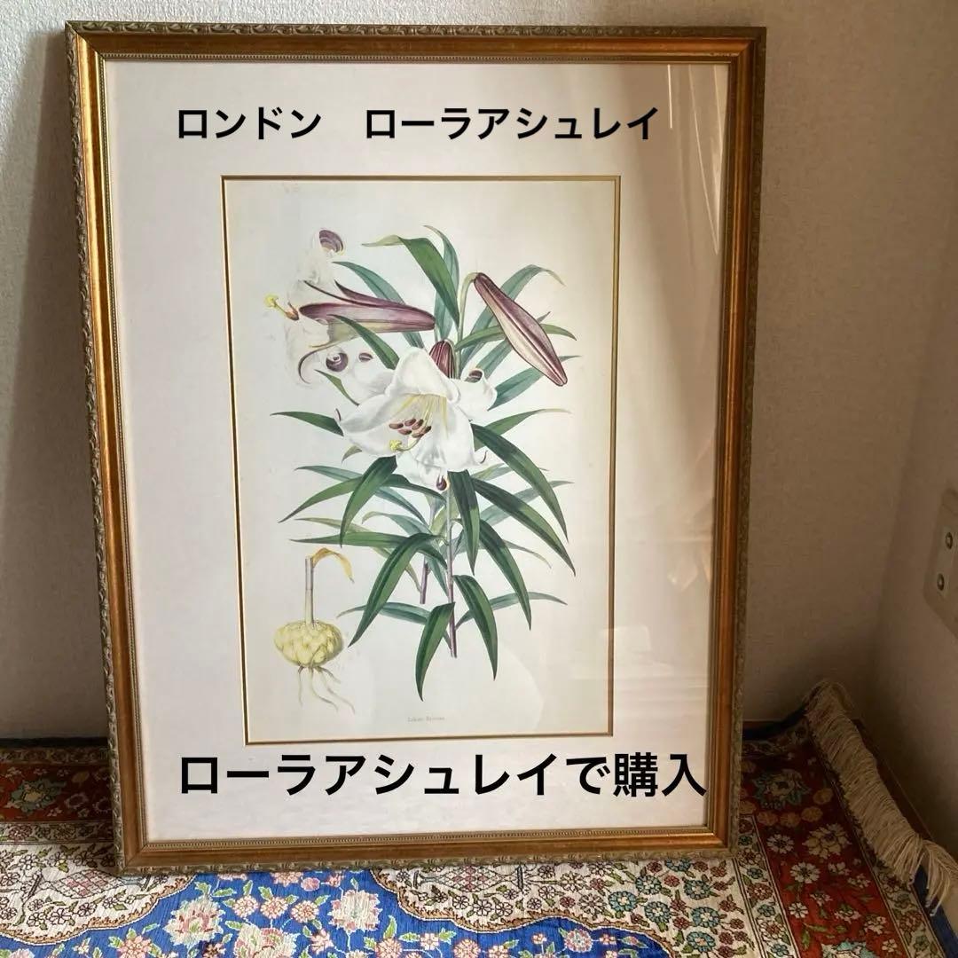ボタニカル　絵　ローラアシュレイ　イギリスで購入