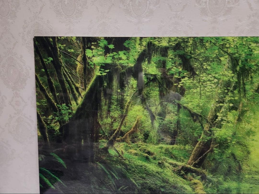 YellowKornerイエローコーナー パラダイス・フォレスト アートパネル