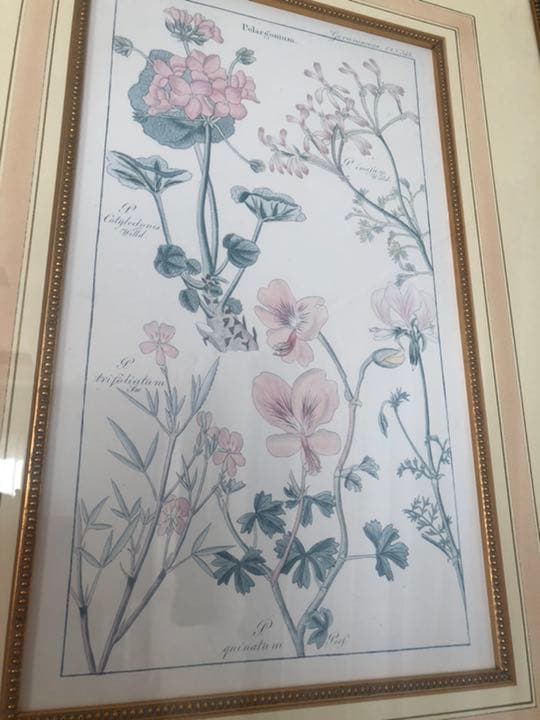 アンティーク　絵画