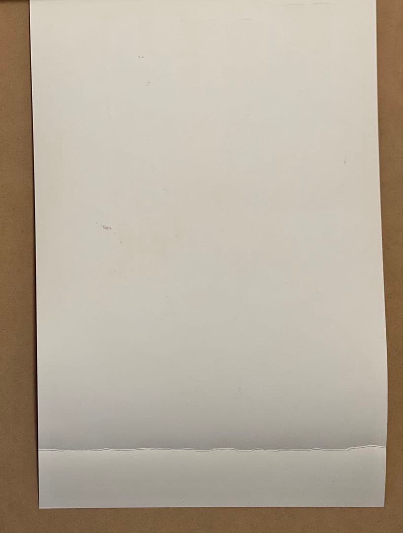 Frank Kozik \"Another Year Wasted\" ポスターです