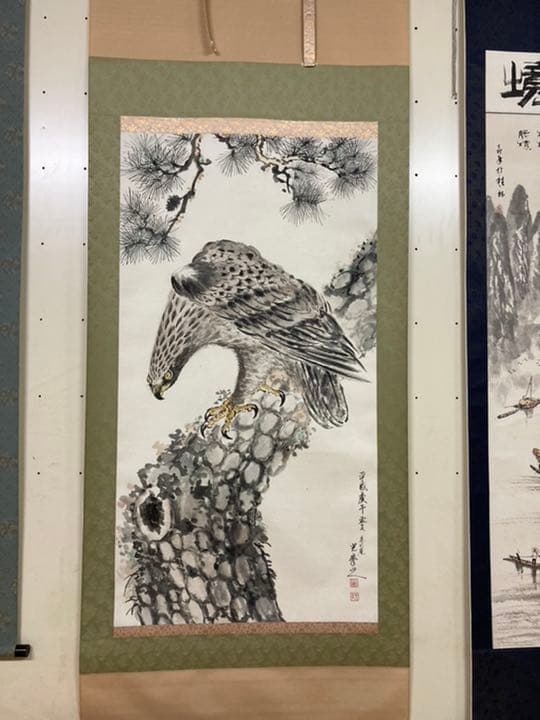菊地光峰   一品物掛軸　日本画　松樹大鷹