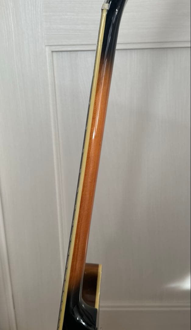 (中古)エレキギター セミアコAriaProⅡ TA600