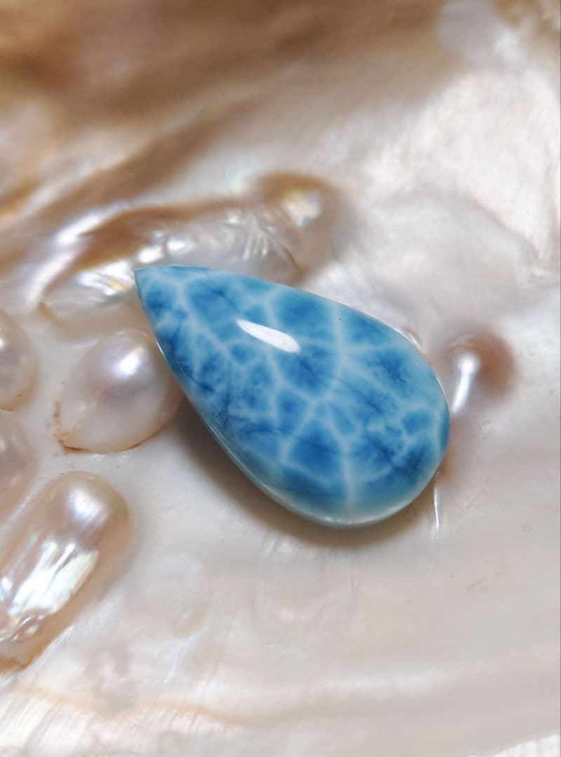 よ*ん様 プレミアム【新種】限定14個入荷ドラゴンクローラリマーしずくルースML