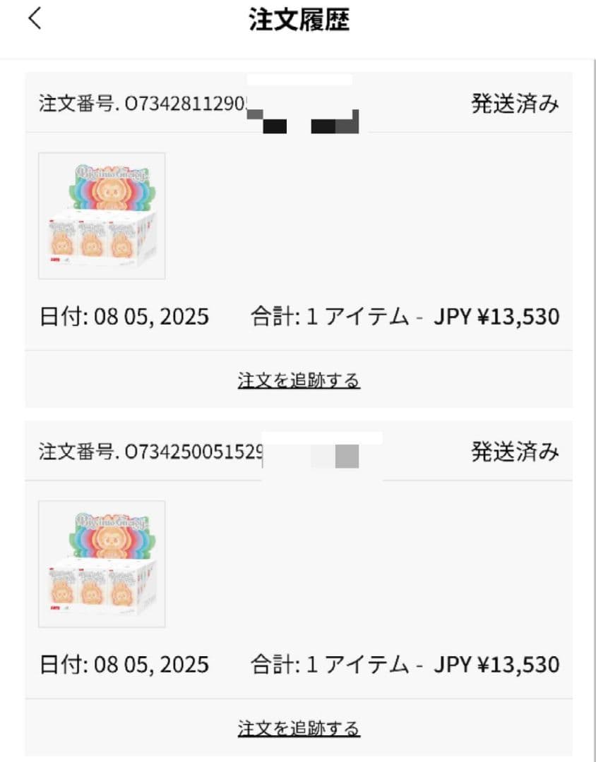 確実正規品 未開封 Labubu Big into Energy アソート 2