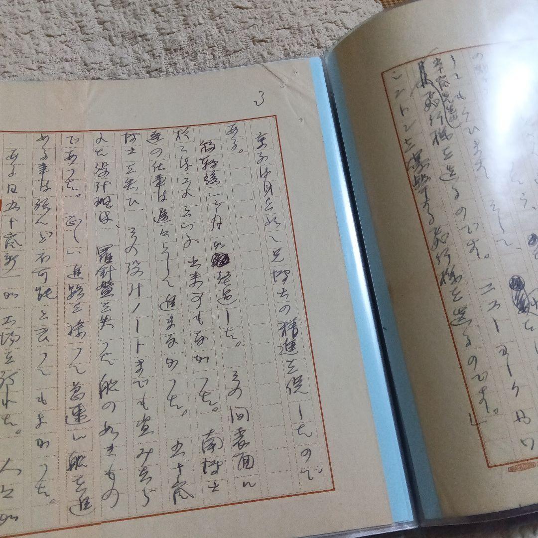 江戸川乱歩　直筆原稿　草稿　偉大なる夢　サイン　署名　原稿用紙20枚　未完