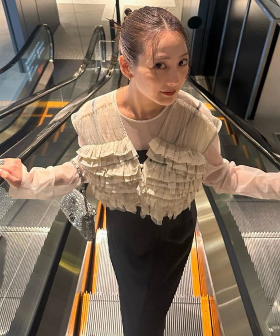 スーツ・フォーマル・ドレス ANDRESD taffeta tulle vest set dress