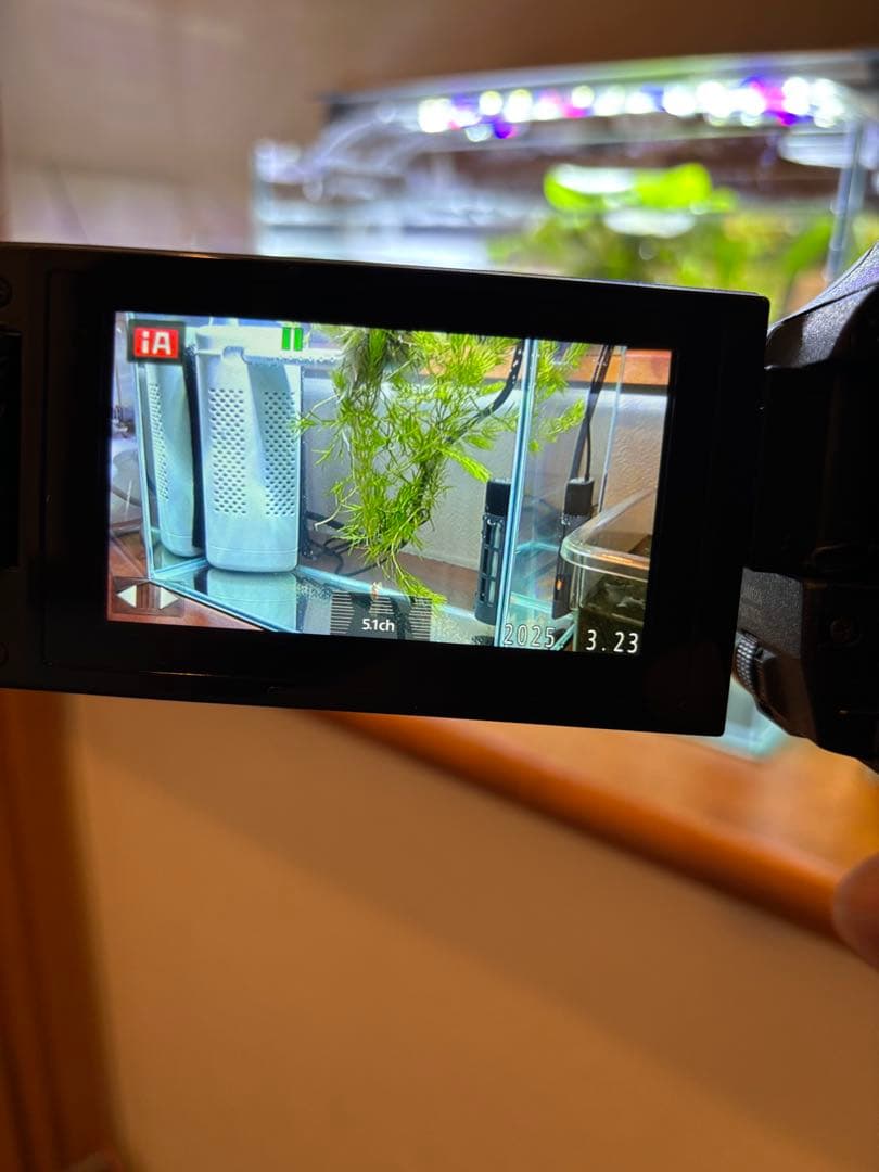 Panasonic デジタル4Kビデオカメラ HC-WX970M-K 予備BT付