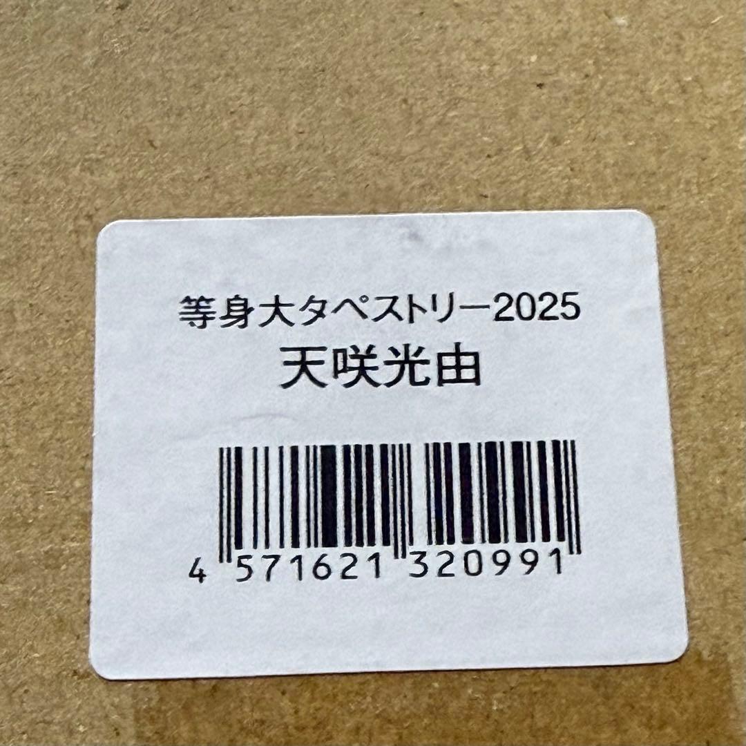 スターダム 等身大タペストリー 天咲光由　2025