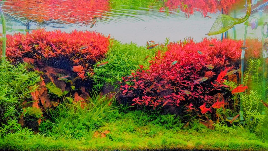 WRGB60 II LEDライト 60-80cm